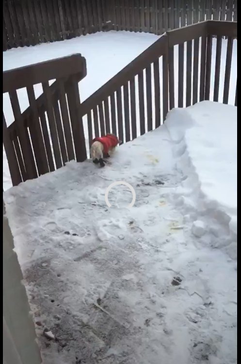 Avant - Cour Birkdale